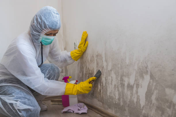 Water Damage Restoration in Brownsville, PA